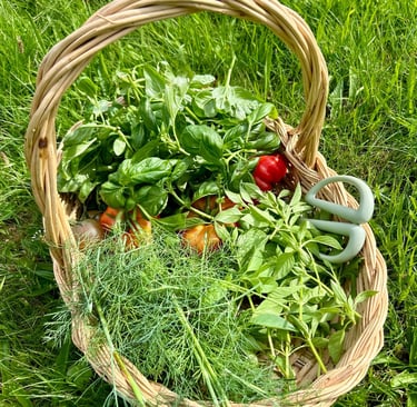 jardinage biologique dans les vosges
