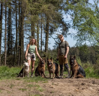 two dog walkers on a group walk with multiple herders.