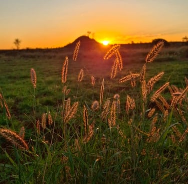 outback australia sunset desert vibes