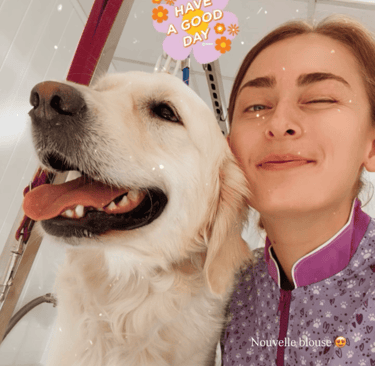 toilettage de golden retriever