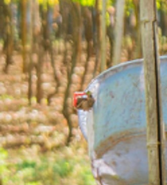 Agroquímicos & Fertilizantes