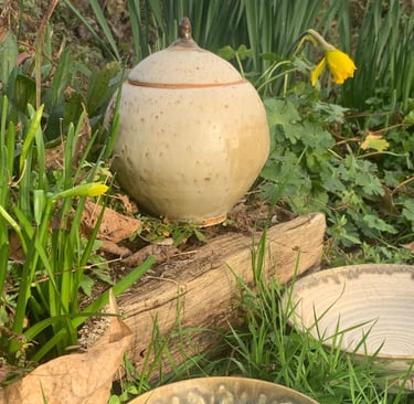 lidded pot and bowls
