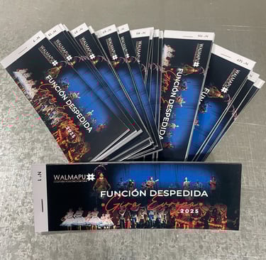 Entradas Personalizadas