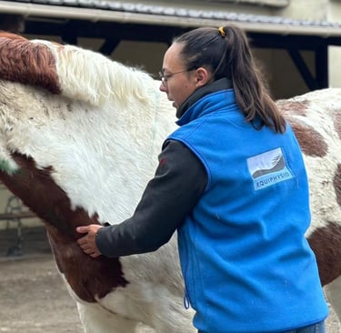Zoé Gavoille praticienne certifiée Equiphysio
