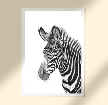 Wildlife Art - Grévy's Zebra