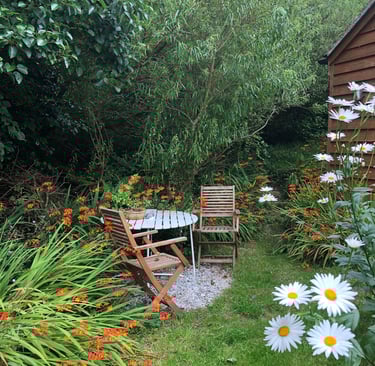 2 garden chairs around a table in a garden with orange flowers and white daisies