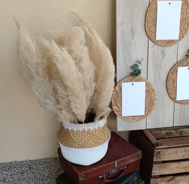 panier de pampas