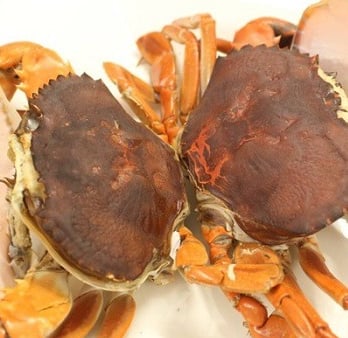 double skinned crabs