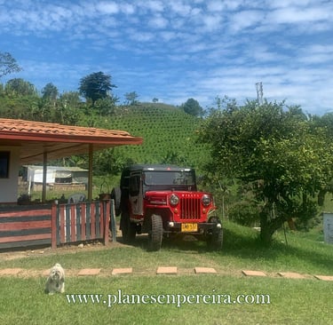 tours por pereira