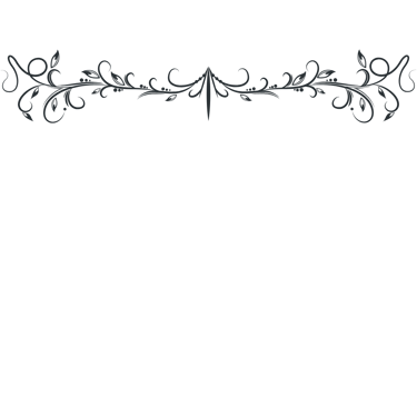 a black and white photo of vector frame