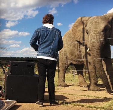 Franco Schoeman with elephant