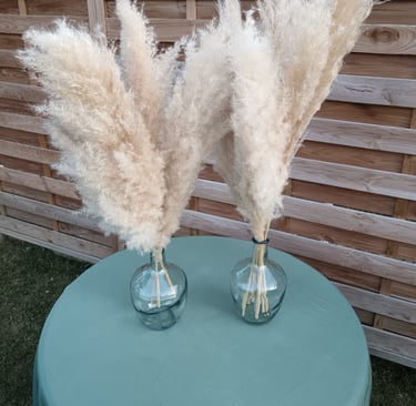 pampas