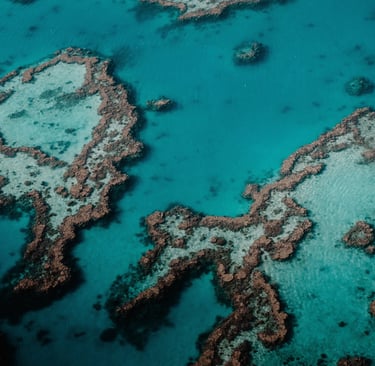 Australie Barrière de Corail - Studio Fauvve 