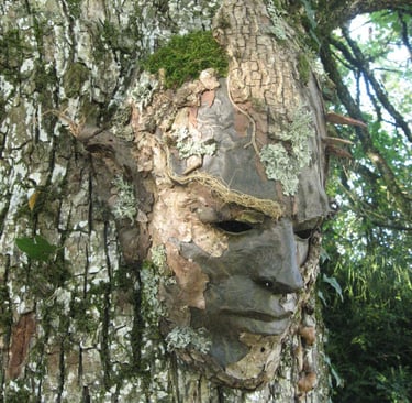 Masque d’écorce photographié en forêt, sculpture contemporaine de Samuel Chazot
