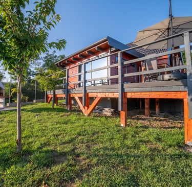 a house with a deck and a tree in the grass