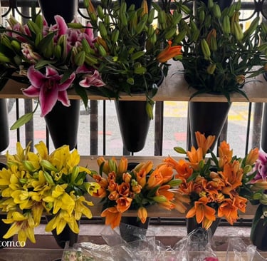 flores para negocio en pereira