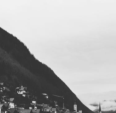 Gorgeous, gloomy views of rural Switzerland, original black & white photo by @LVF.LVX