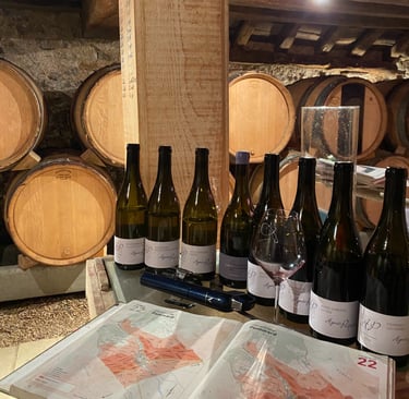 investissement dans le vin conseiller