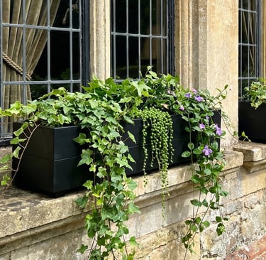 Window box flower planter made to size painted in colour bespoke size trough planter