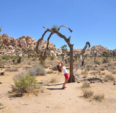 Skull rock trail, Joshua Tree National Park