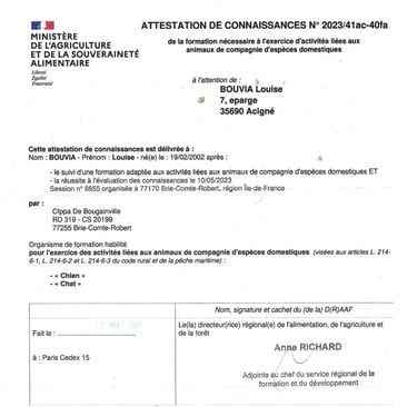Attestation de connaissances des animaux de compagnie et d'espèces domestiques