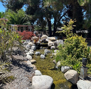 A rock-bordered stream leads to a small "she-shed" in the background