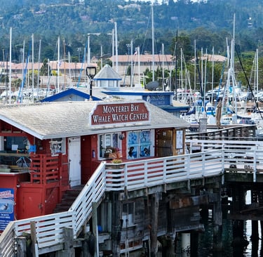 monterey californie vue de la baie