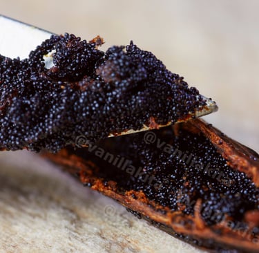 Vanilla caviar