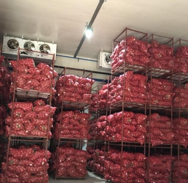 Onion cold storage room interior