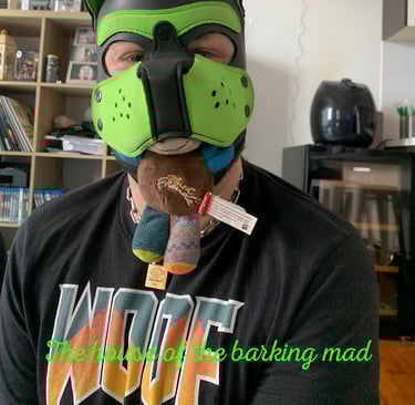 Man in pup mask with chew toy.