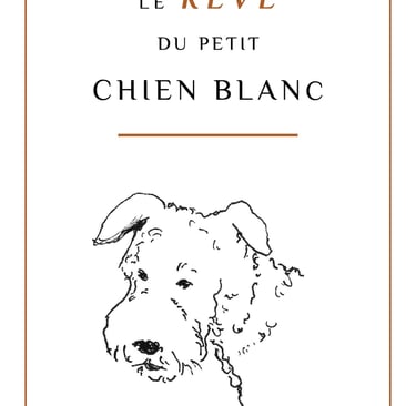 Couverture du livre le rêve du petit chien blanc