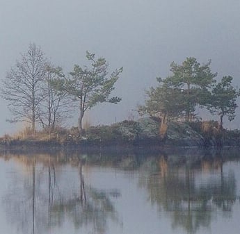 A small island with a few trees in the fog-Wikimedia cite