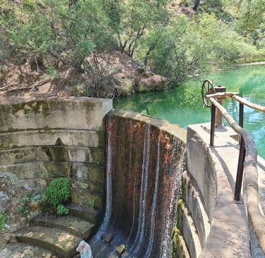 A small concrete dam and waterfall flowing into a turquoise pond surrounded by lush green trees.