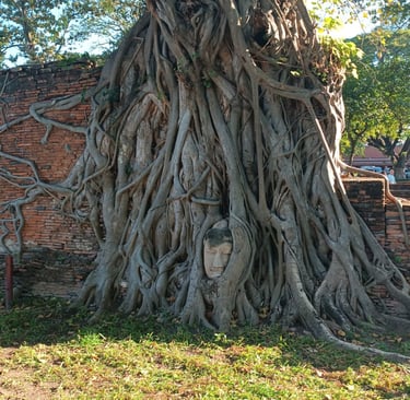 Consigli di viaggio Thailandia - Ayutthaya