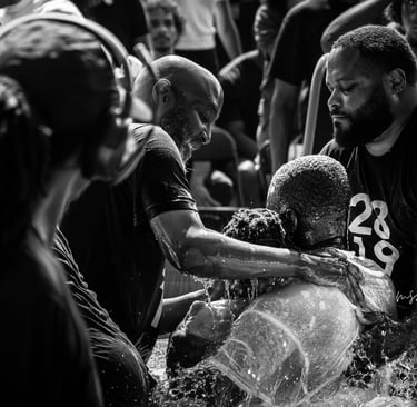 risen and renewed