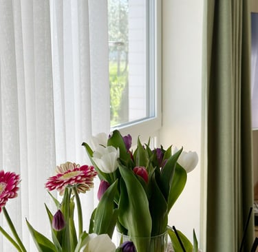 living room curtains