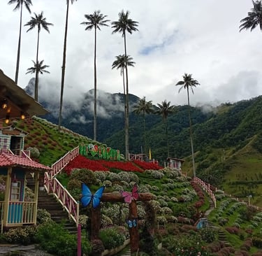 Set fotografico a Valle del Cocora
