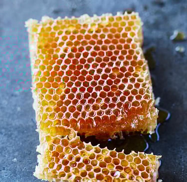 a honey comb filled with honey