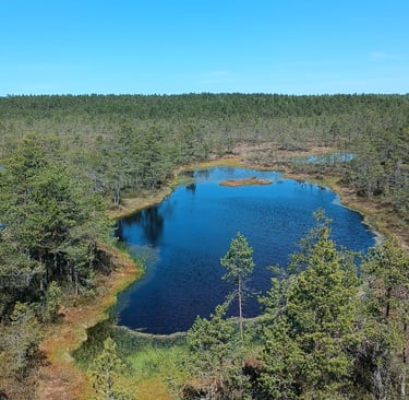 Lahemaa National Park in Estonia