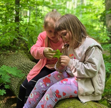 Mergaitės Buktos pažintiniame take