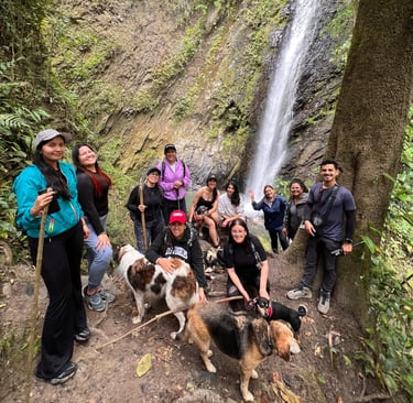 Un grupo de excursionistas y sus perros posan para una foto frente a una alta cascada tropical 