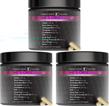 shilajit aided premium supplement mix