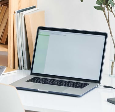 Laptop on a white desk, with houseplants and notebooks around