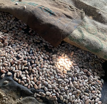 sac de cacao