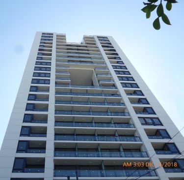 obra palmera