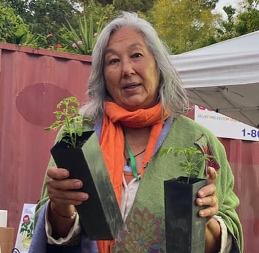Mariko Gifford holds two moringa seedlings in tall pots