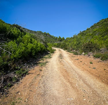 Hiking Zante - Wandering though the valleys
