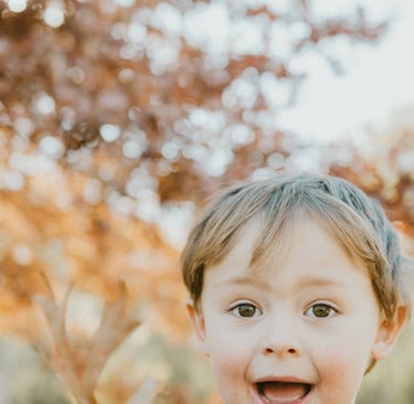 young boy showing autumn leaves in Adelaide Hills in a candid photo session