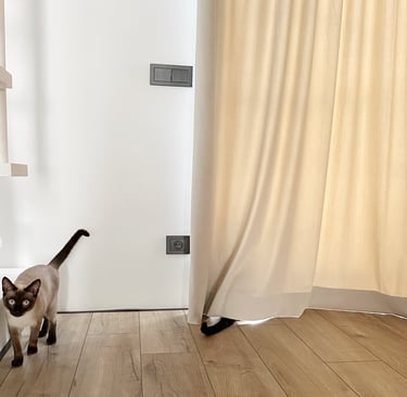 curtains