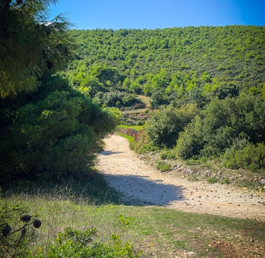 Hiking Zante - Near the end